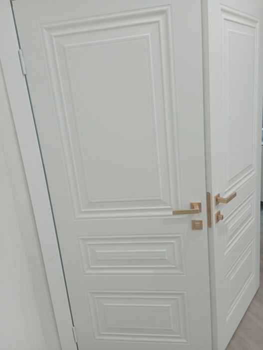Установка межкомнатных и входных дверей