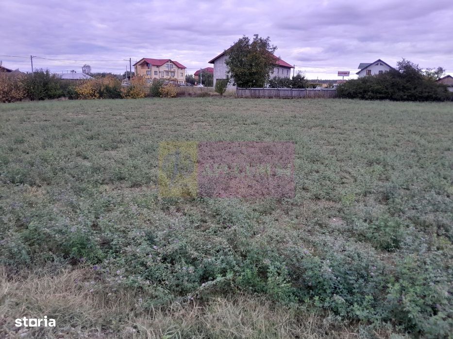 De Vanzare Teren 2000 Mp  -  Cosereni( Il )