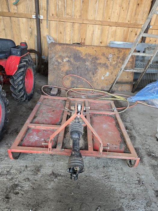 Oua gaini brahma metisi