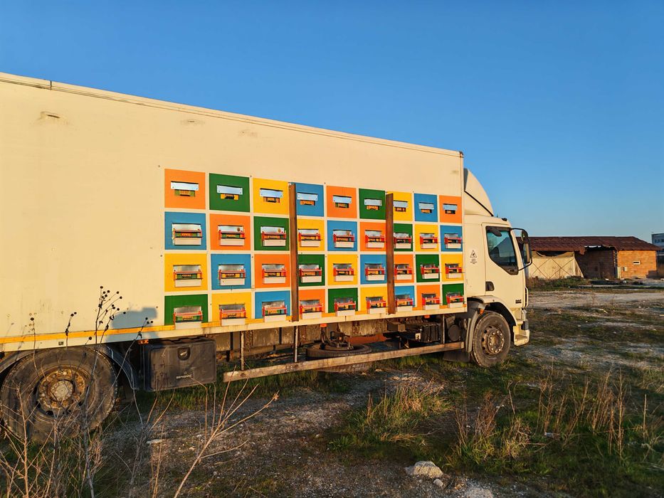 Camion apicol DAF LF 55250