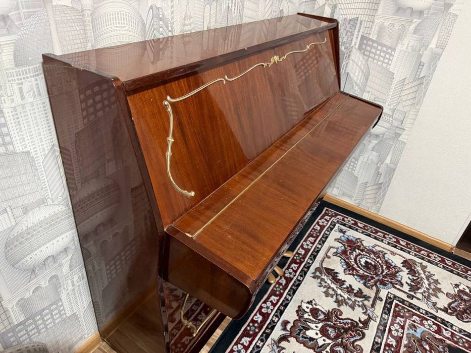 Fortopianino professional