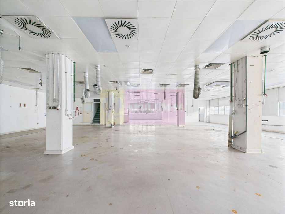 Spatiu Industrial | Comercial Dristor VITAN | RACARI