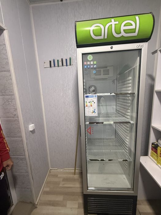 Artel morozelka yangi
