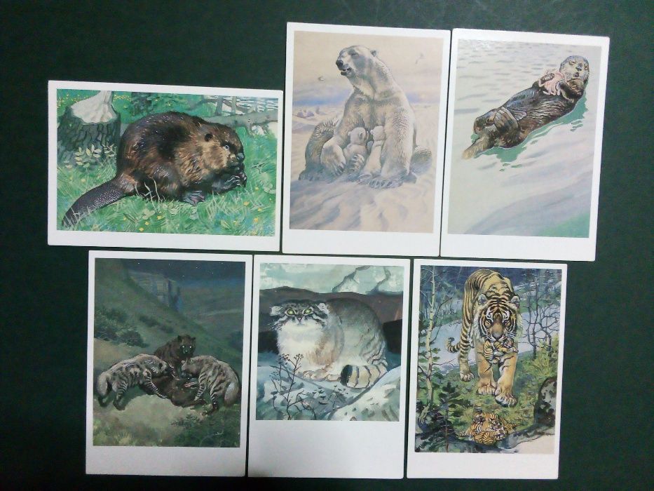 Само за Колекционери! Уникални и запазени руски комплекти картички(3)!