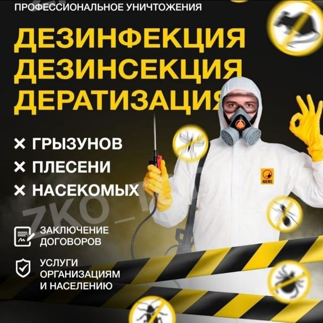 Услуги уничтожение клопов и тараканов