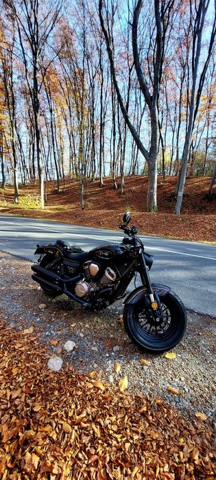 Benda Chinchilla 500 A2