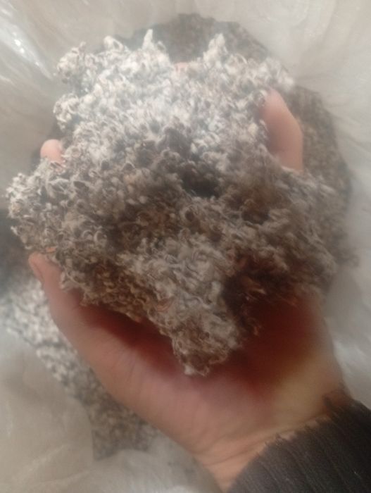 Molingiz uchun yem shorha kerakmi semirtiradigan ishonchli yem