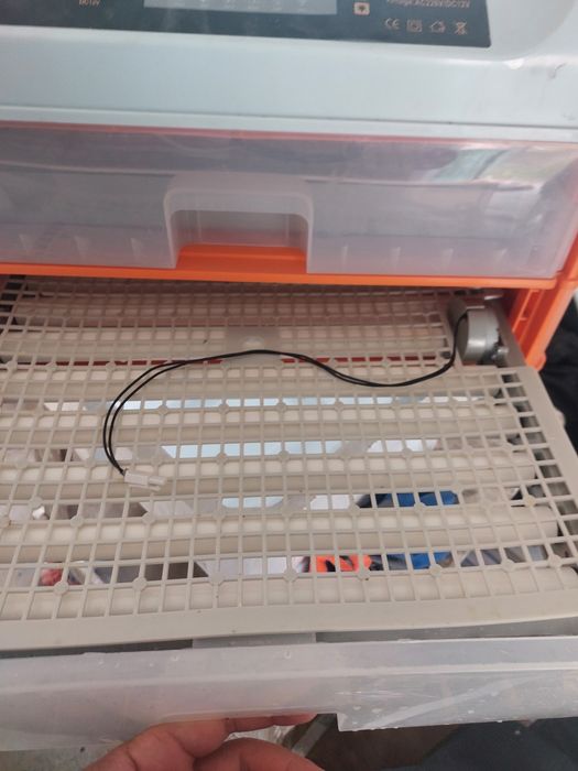 Инкубатор сатылады