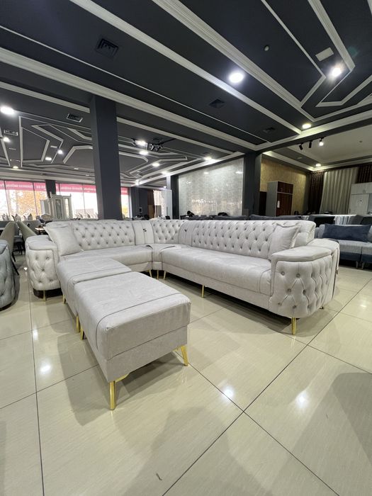 Chester ugalok bolib tolashga