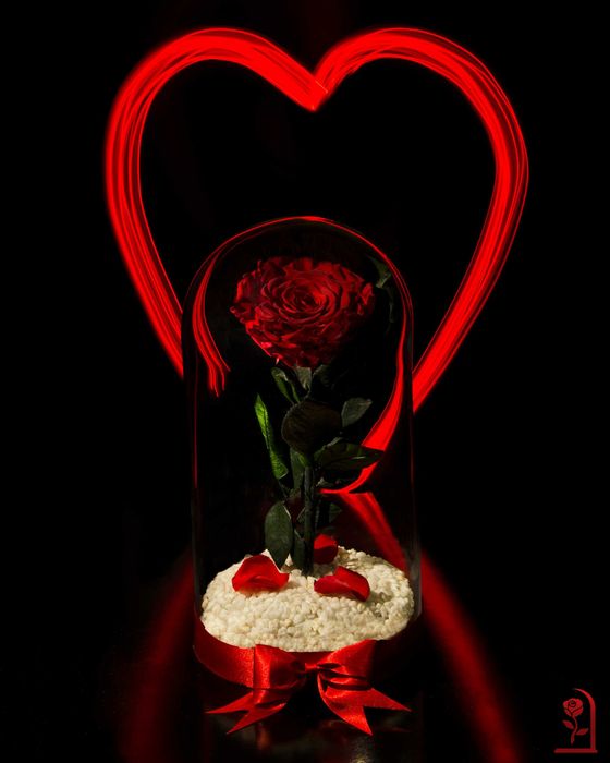 Естествена Вечна Роза в Стъкленица / Подарък за Рожден Ден на Жена