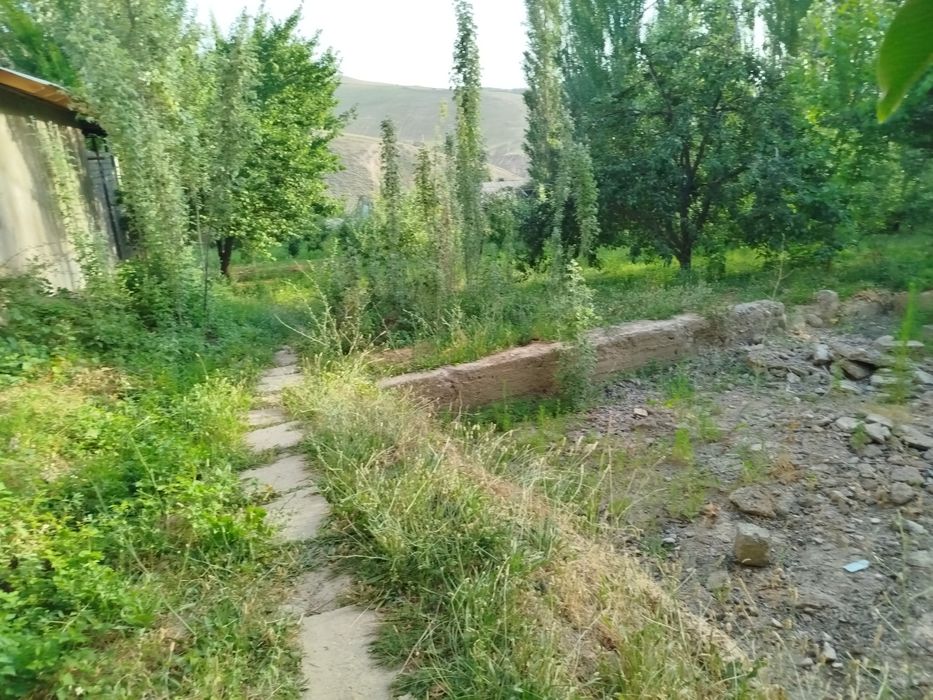 Yer sotiladi 6 soʻtix narxi kelishiladi