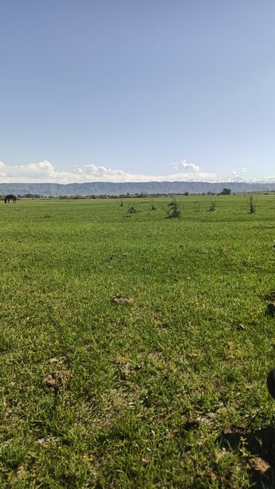 Продаётся участо 13 гектар