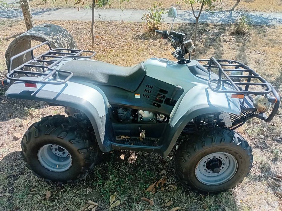 Vand Linhai 300cc