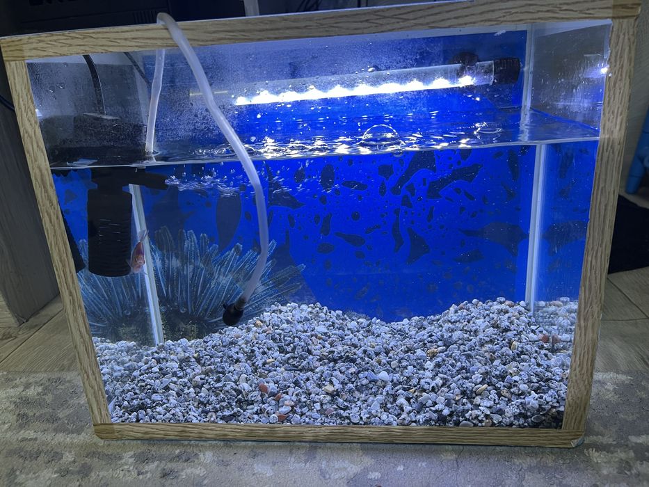 Продам аквариум 25л дешево