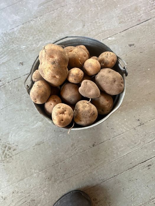 Домашняя картошка