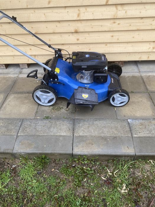 Косачка паркова