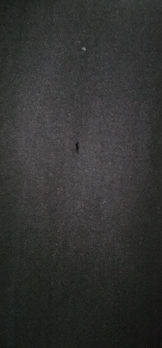 Tricou Karl Lagerfeld & Puma