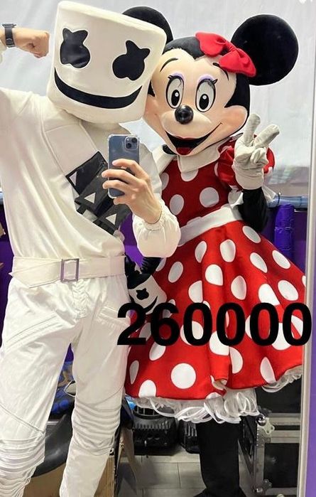 Костюмы ростовых кукл Король лев