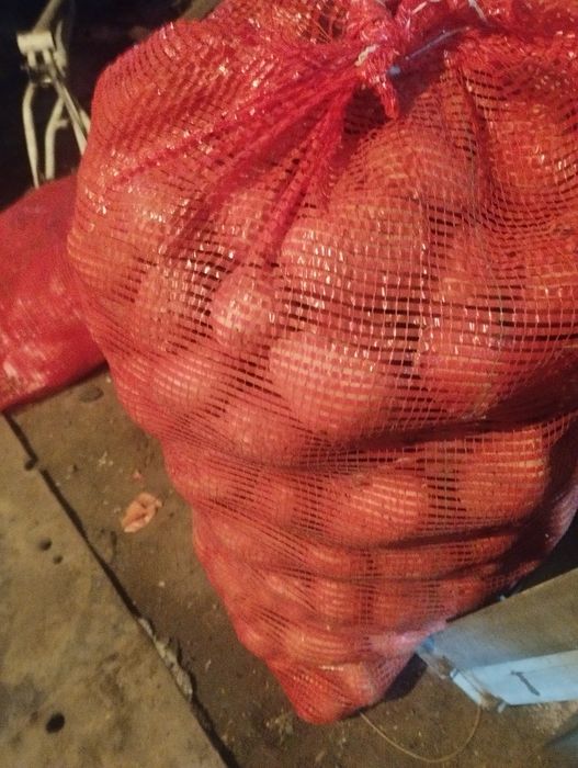 Продам картофель