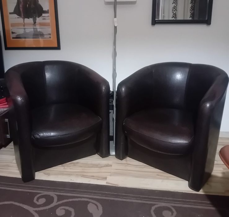 2 Fotolii piele eco