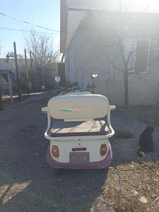 Электроскутер для семьий