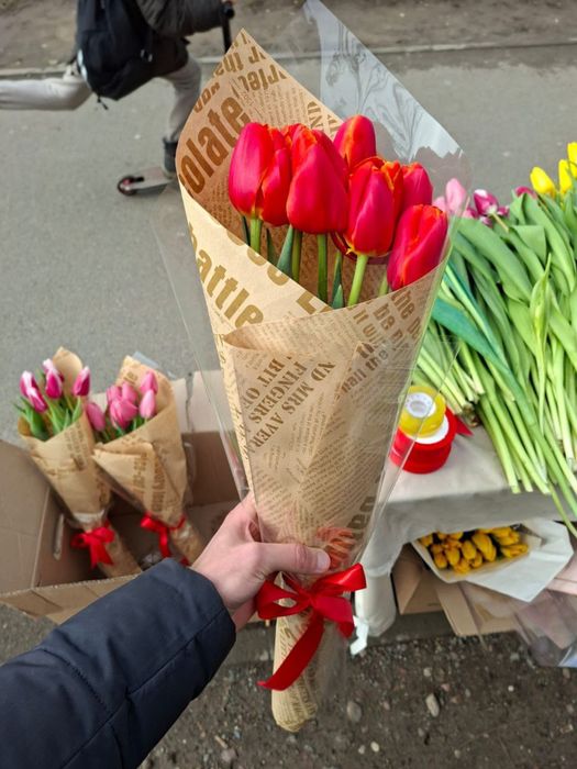 Тюльпаны по 500 тг