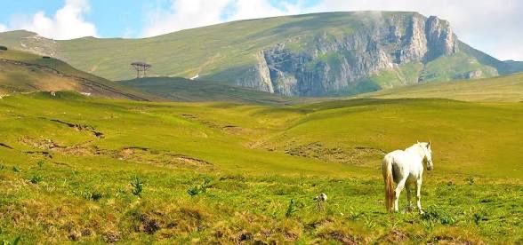 Excursii Montane/Team Building