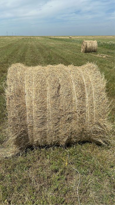 Сено круглый тюк шоп