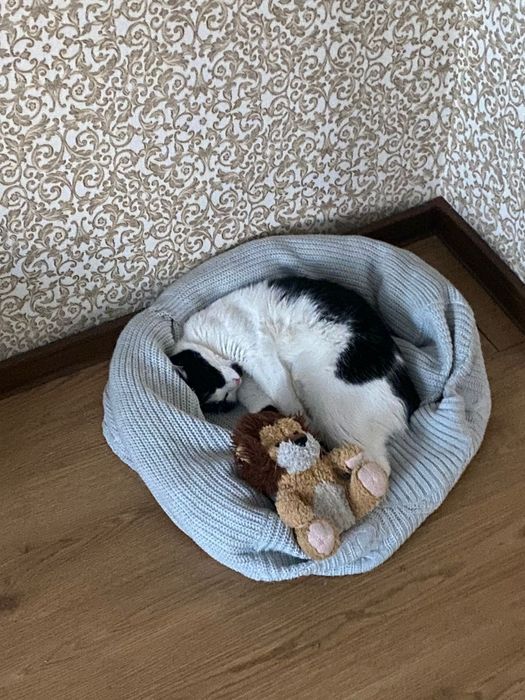 В самые добрые и ответственные руки