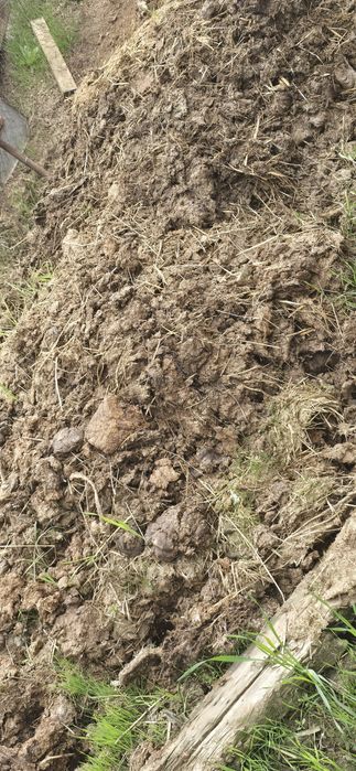 Навоз каровье , бесплатно