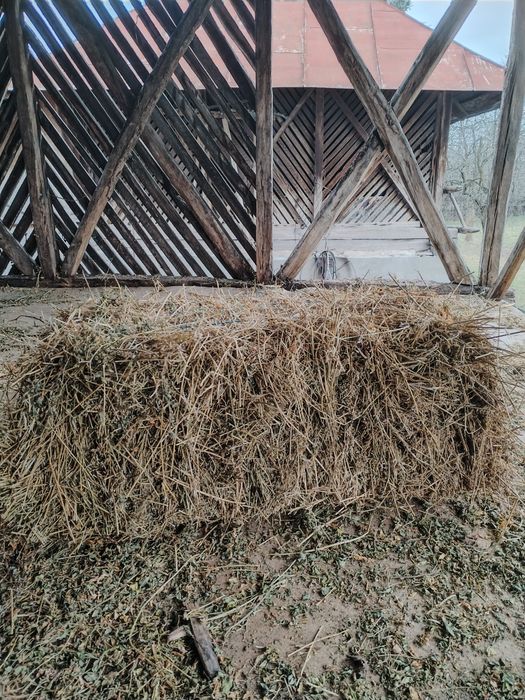 Vând baloți de lucernă si fân