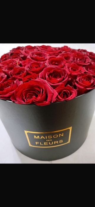 Роза роза роза роза роза роза