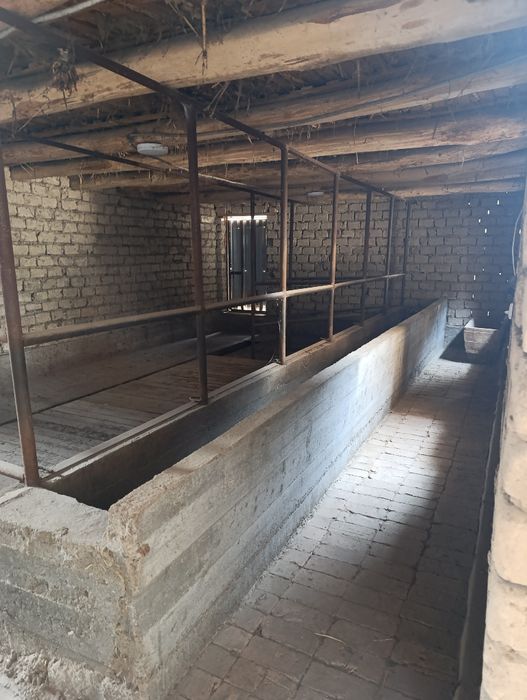 Срочно продаётся участок с домом