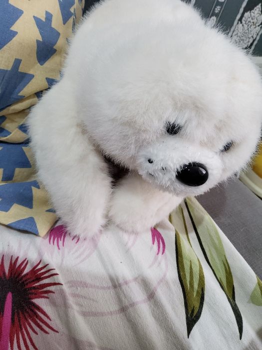 Продам  зко аксай