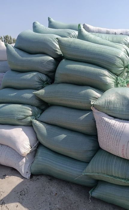 Beogumus/ Biogumus/ biyagumus