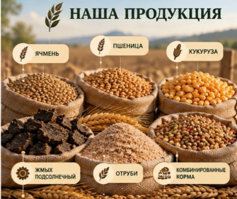 Продаем корма отруби