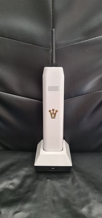 Binatone the brick !