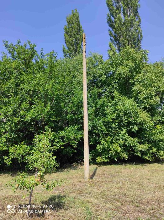 Продава се Парцел в с. Стража, Област Търговище - 1000 кв.м за 44 €/кв.м - Снимка #5