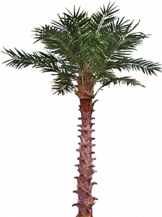 PALMIERI artificiali  LUX H=5 m