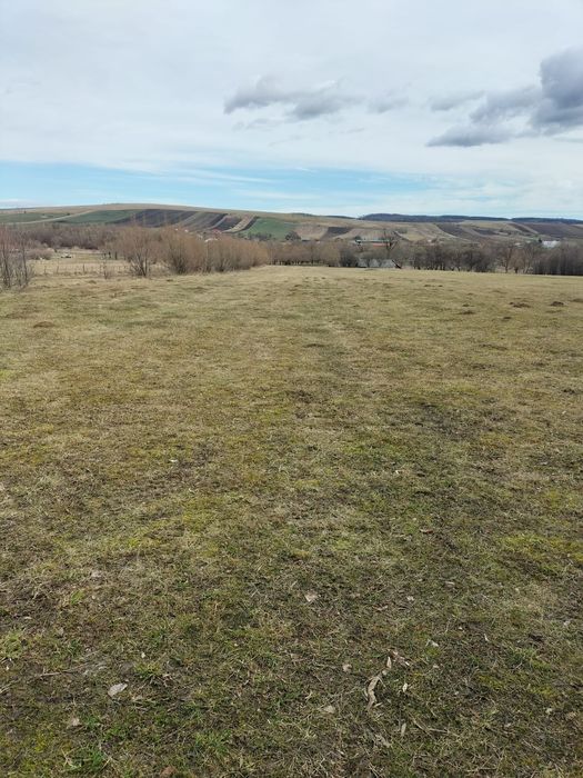 Teren de vânzare Oșlobeni