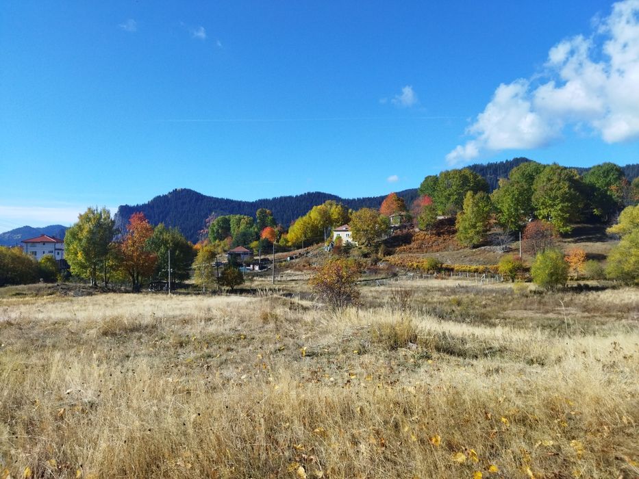 Продава се Парцел в Смолян, Езерово - 3136 кв.м за 35 €/кв.м - Снимка #11