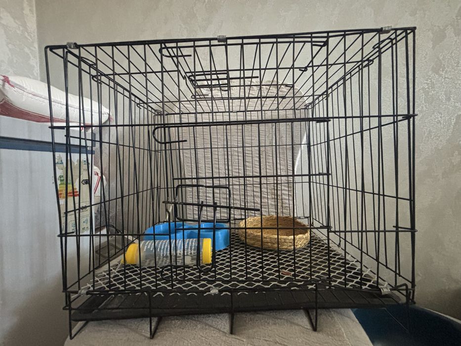 қоянның сеткасы.