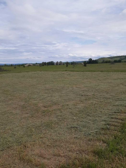 Vand teren Simian zona paraul Baran