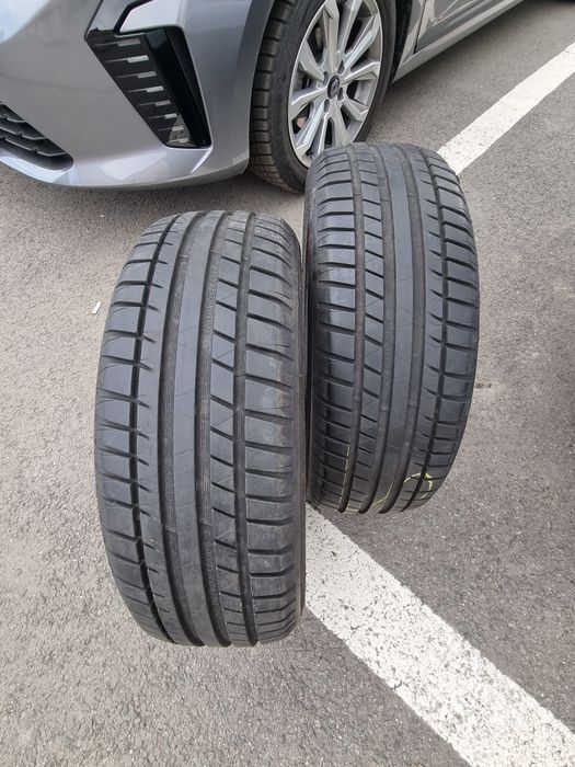 2 Anvelope  vara RIKEN
