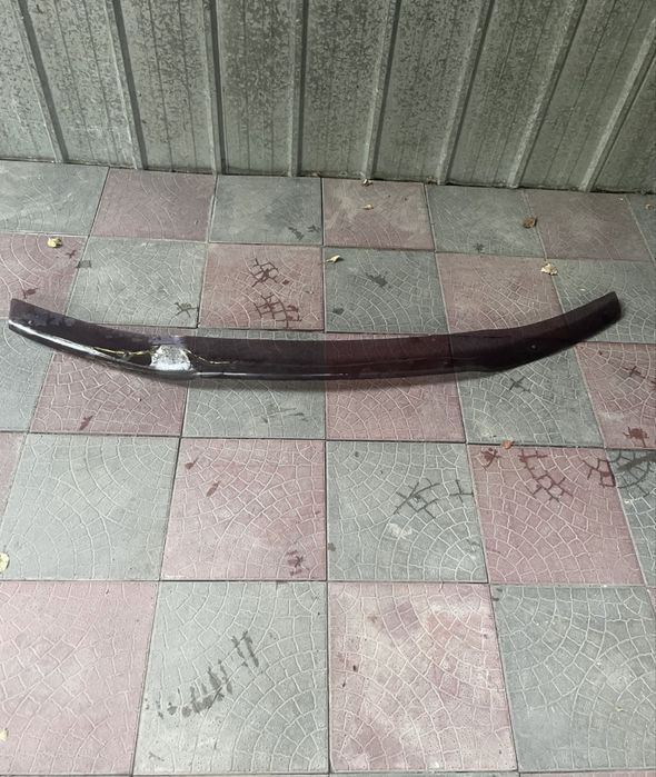 Мухоотбойник