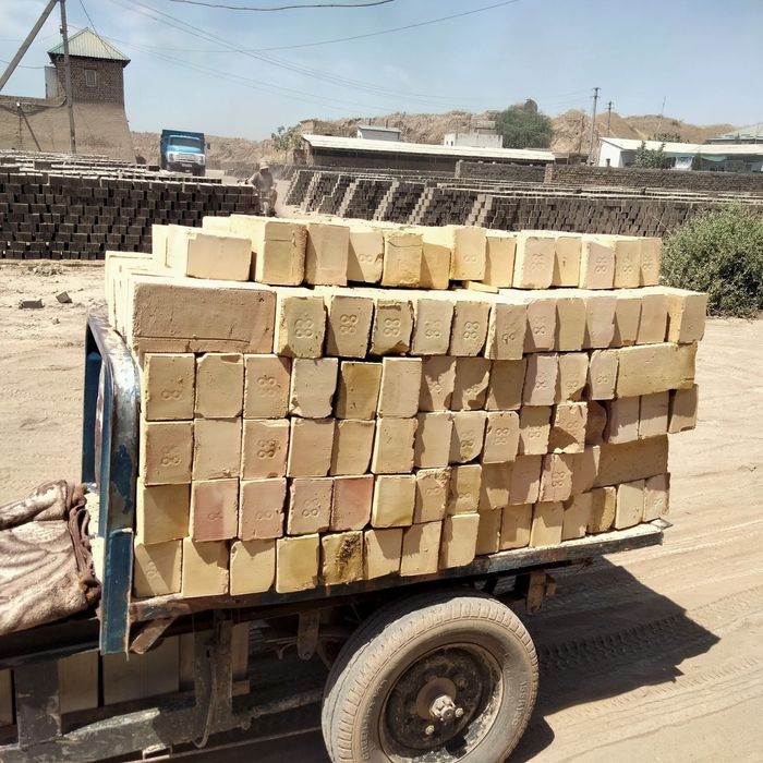 Пишкан Гиш бор палтара