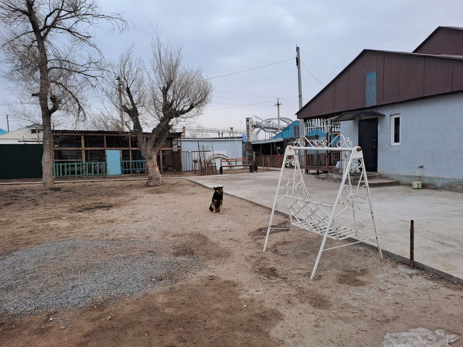 Уй сатылады 5 болмели