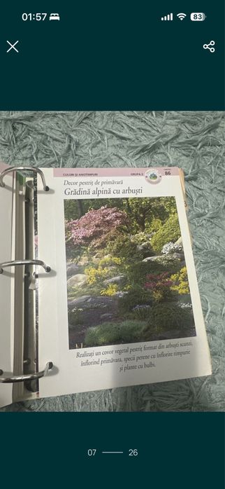 Gradinarit in orice anotimp