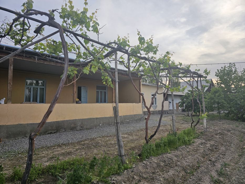 Yer uchastka 16sotix