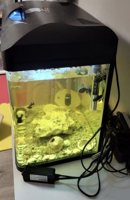 Acvarii diferite dimensiuni de la 10 litri la 250 de litri